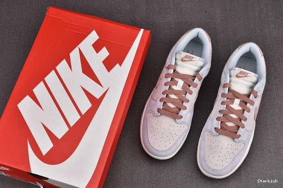 Nike Dunk Fossil Low Rose DH7577-001 1018